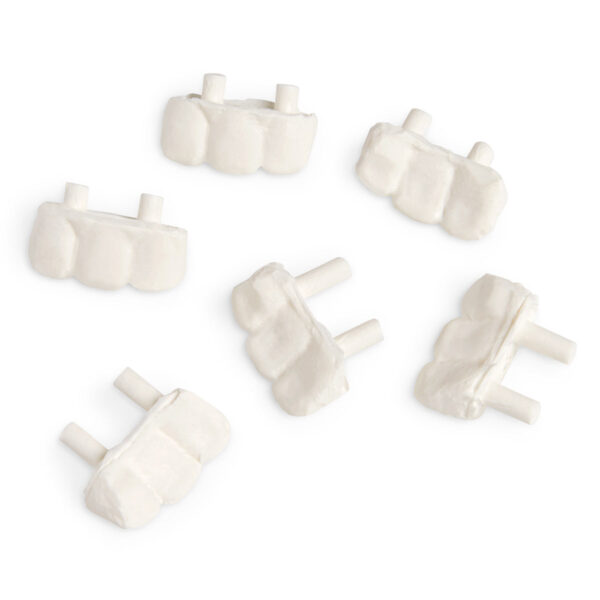 Conjunto de 3 dentes de reposição para simulador de paciente STAT