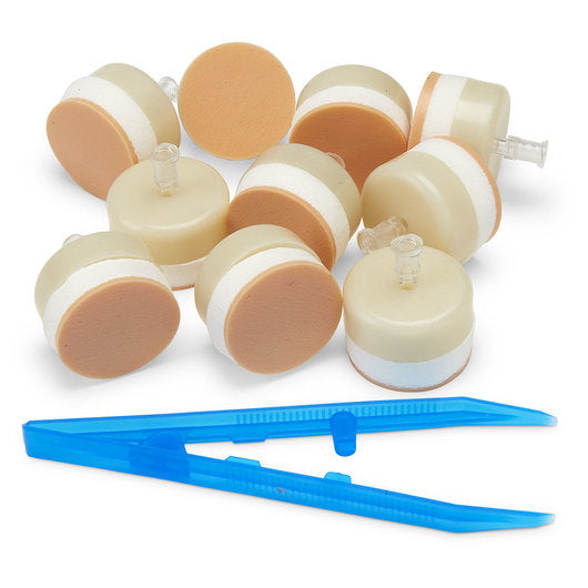 Substituição do osso esternal 10 unidades