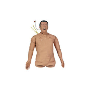 Suporte de vida em trauma pré-hospitalar (Phtls) Manequim Torso [SKU: 101-315]
