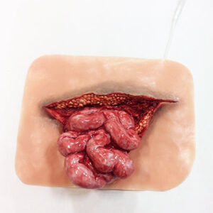 3830302D303033_7a1d1014-3148-4da9-8925-8466cf7fed79 Intestino Eviserado Xtreme