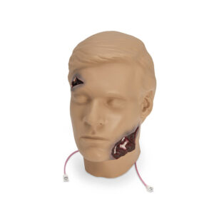 Trauma Randy Head Flash Casting