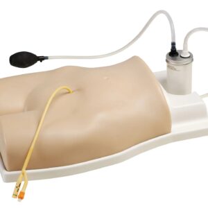 Modelo de treinamento suprapúbico – Light [SKU: SB38897]