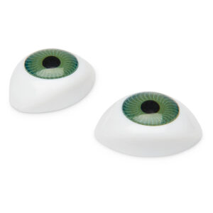 LF00057-main Simulador de parto materno e neonatal Life/form® Lucy – Olhos – Verdes – Conjunto de 2