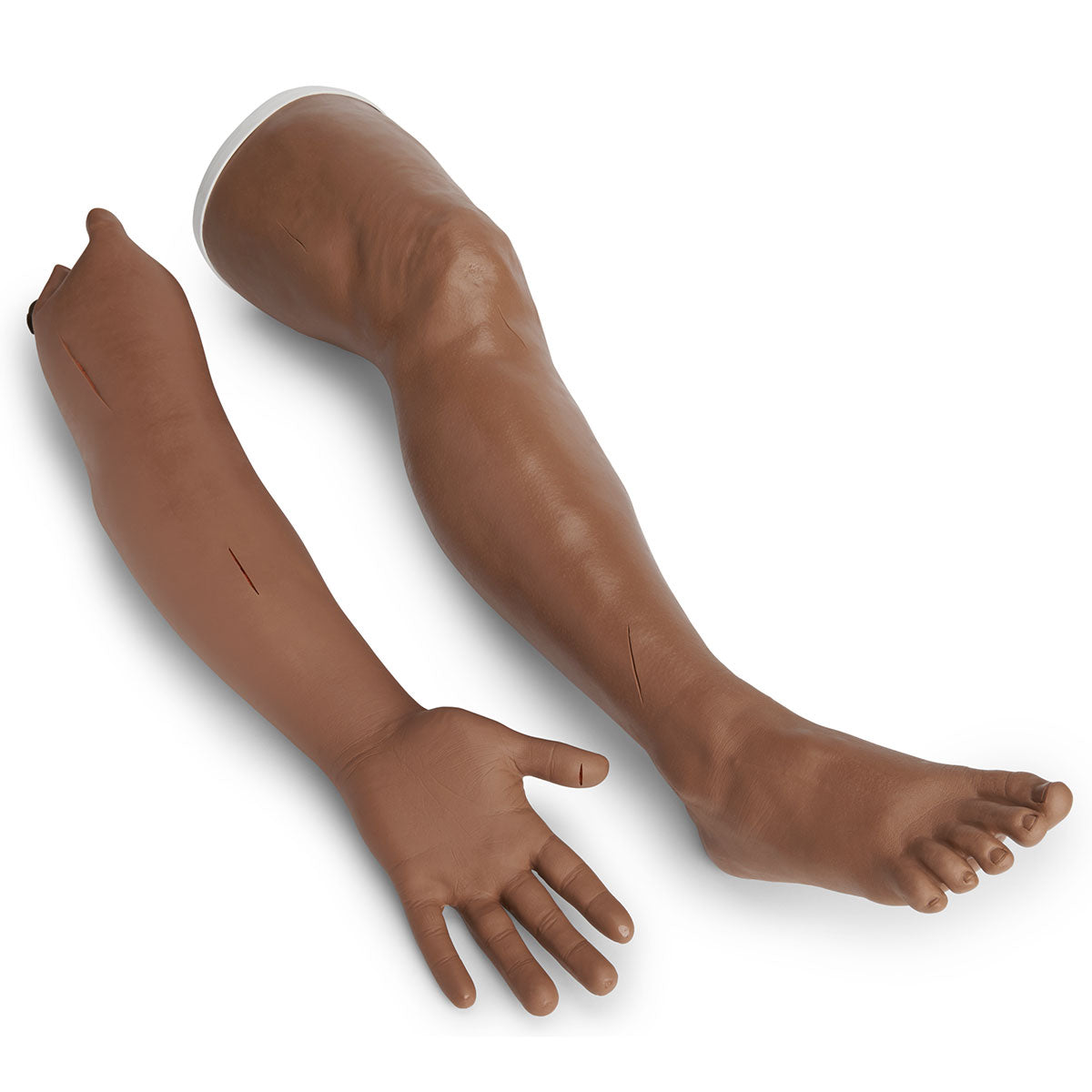 Conjunto de prática de sutura e grampeamento Life/form® - Médio [SKU: LF00672]