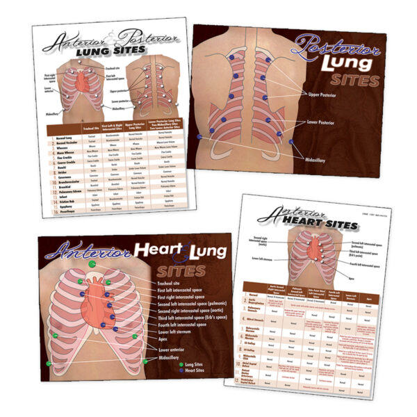 Conjunto completo de recursos visuais para locais cardíacos e pulmonares da Nasco  [LF00684]
