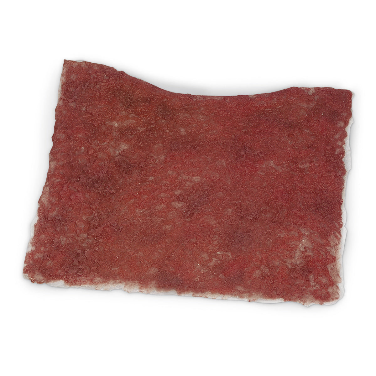 Queimadura torácica simulada Life/form®