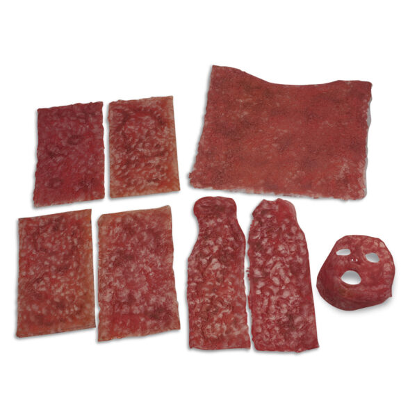 Conjunto completo de queimaduras simuladas Life/form® [SKU: LF00729]