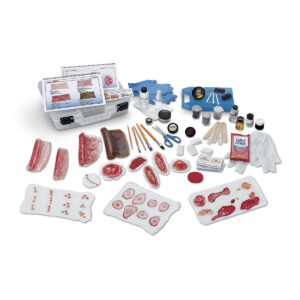 Kit avançado de simulação de feridas de enfermagem Life/form®