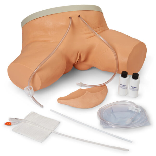 Simulador de cateterismo feminino Life/form® [SKU: LF00856]