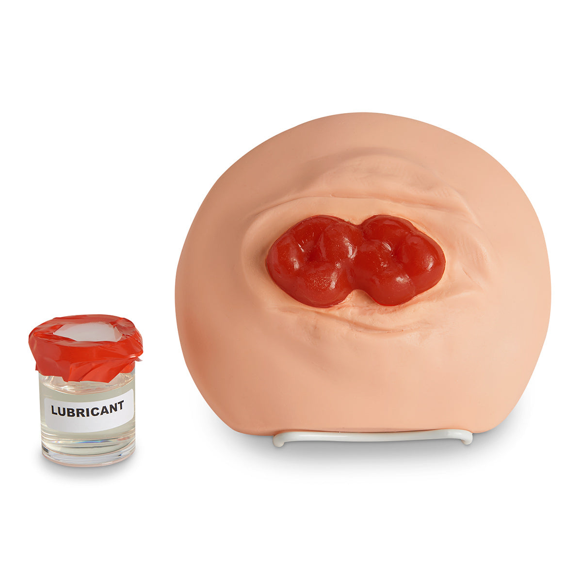 Modelo de treinamento para cuidados com ostomia de barril duplo [SKU: LF00898(A)]