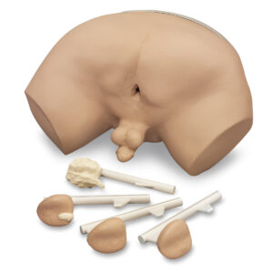 Simulador de exame de próstata Life/form® [SKU: LF00901]