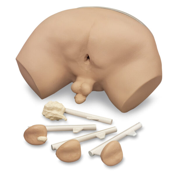 Simulador de exame de próstata Life/form® [SKU: LF00901]
