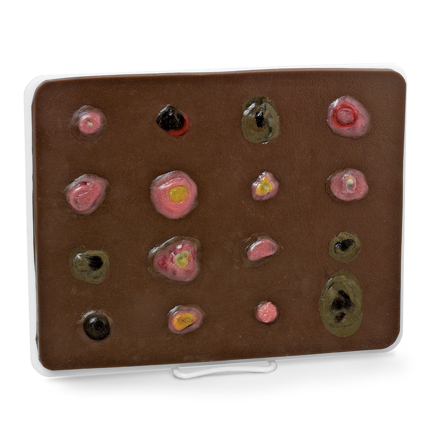 Life/form® Dark Skin Cancer Trainer - Ampliado [SKU: LF00951]