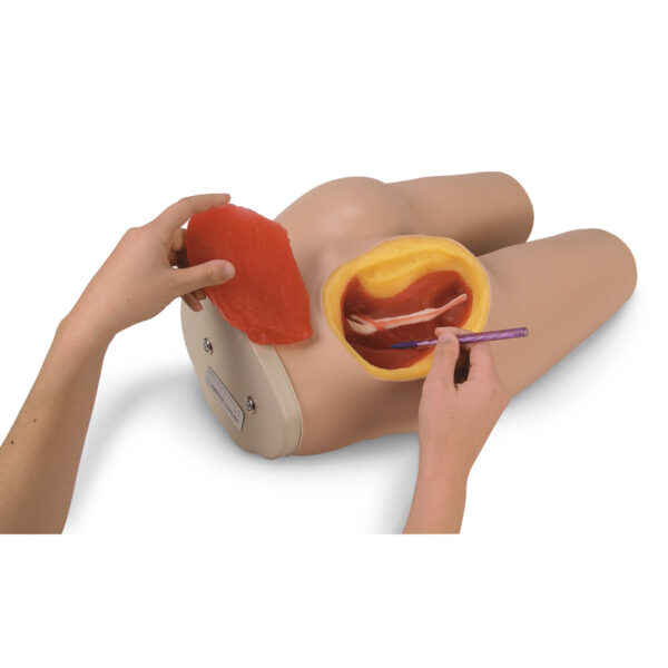 Simulador de injeção intramuscular [SKU: LF00961]