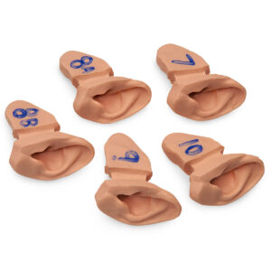 Conjunto suplementar de réplicas de ouvido para exame de ouvido Life/form® para treinamento avançado [SKU: LF01020]