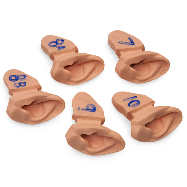 Conjunto suplementar de réplicas de ouvido para exame de ouvido Life/form® para treinamento avançado [SKU: LF01020]