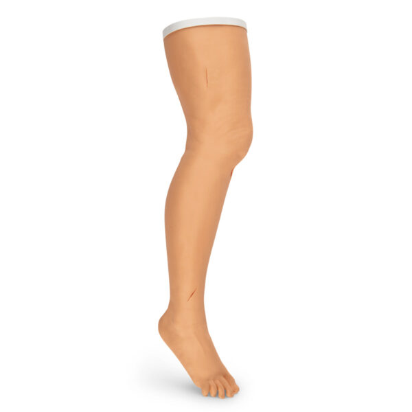 Perna para prática de sutura e grampeamento Life/form® – Light [SKU: LF01034]
