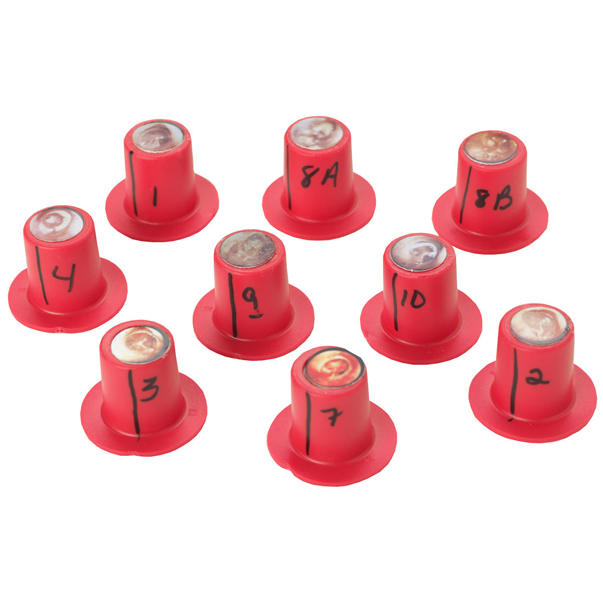 Cartuchos de diagnóstico Life/form®