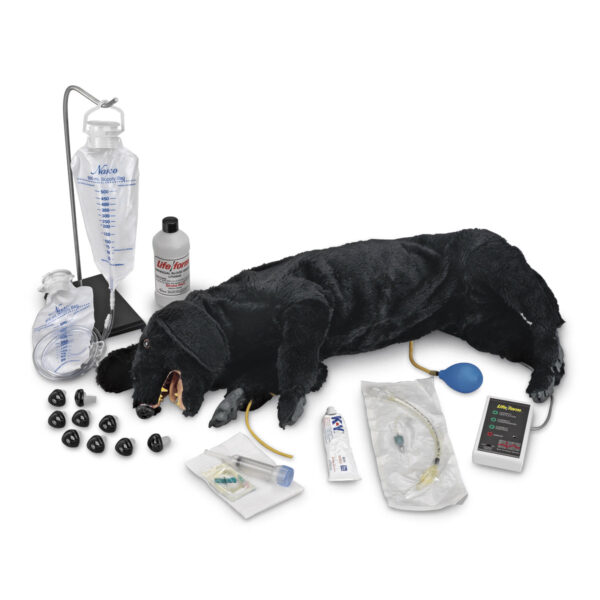 Cão de RCP sanitário avançado Life/form® [SKU: LF01155]