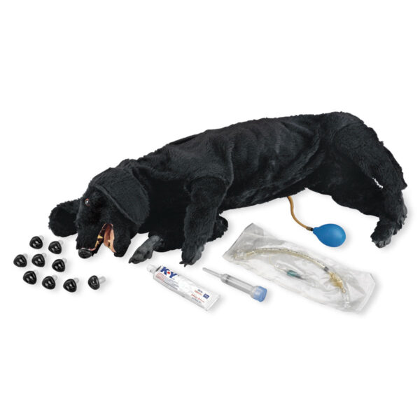 Cão de RCP sanitário básico Life/form® [SKU: LF01156]