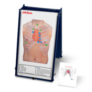 Placa prática de auscultação anterior Life/form® apenas com estojo [SKU: LF01190]