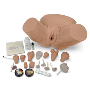 Life/form® Exame Pélvico Avançado e Simulador Ginecológico [SKU: LF01235]