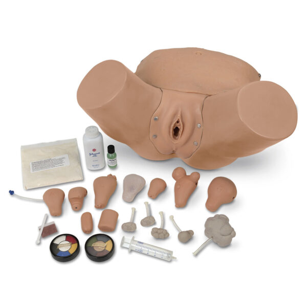 Life/form® Exame Pélvico Avançado e Simulador Ginecológico [SKU: LF01235]