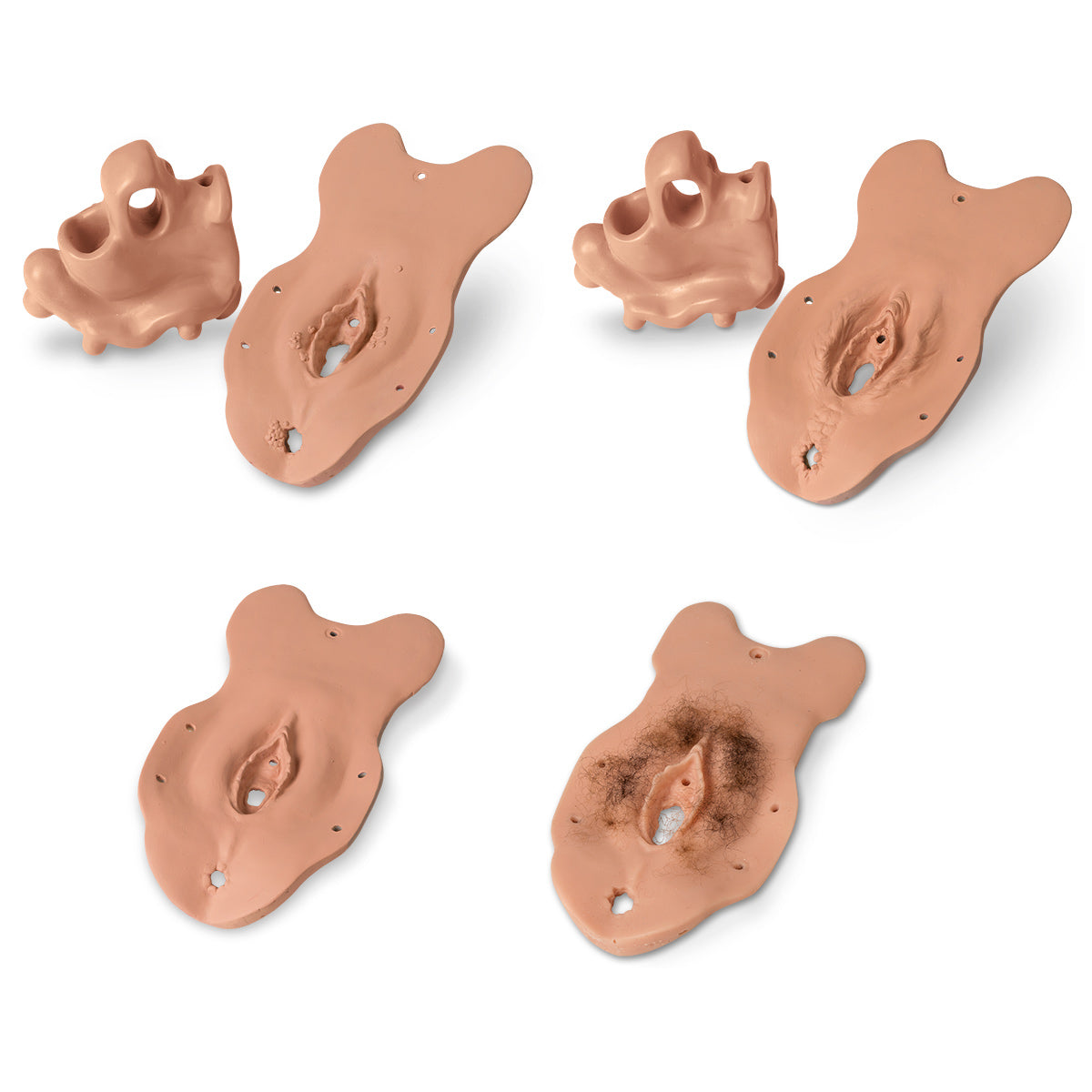 Conjunto completo de módulos de exames especializados Life/form®