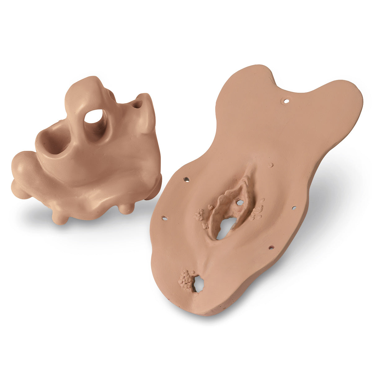 Módulo Life/form® Doenças Sexualmente Transmissíveis (DST) [SKU: LF01244 A]