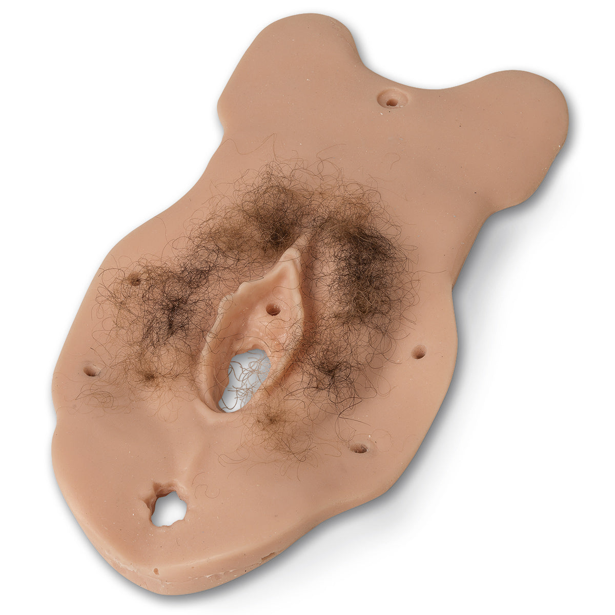 Módulo Life/form® Sexual Assault Nurse Examiner (S.A.N.E.) [SKU: LF01244 C]