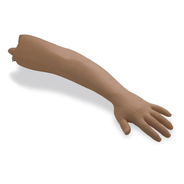 Braço para prática de hemodiálise Life/form® – Médio [SKU: LF01268]