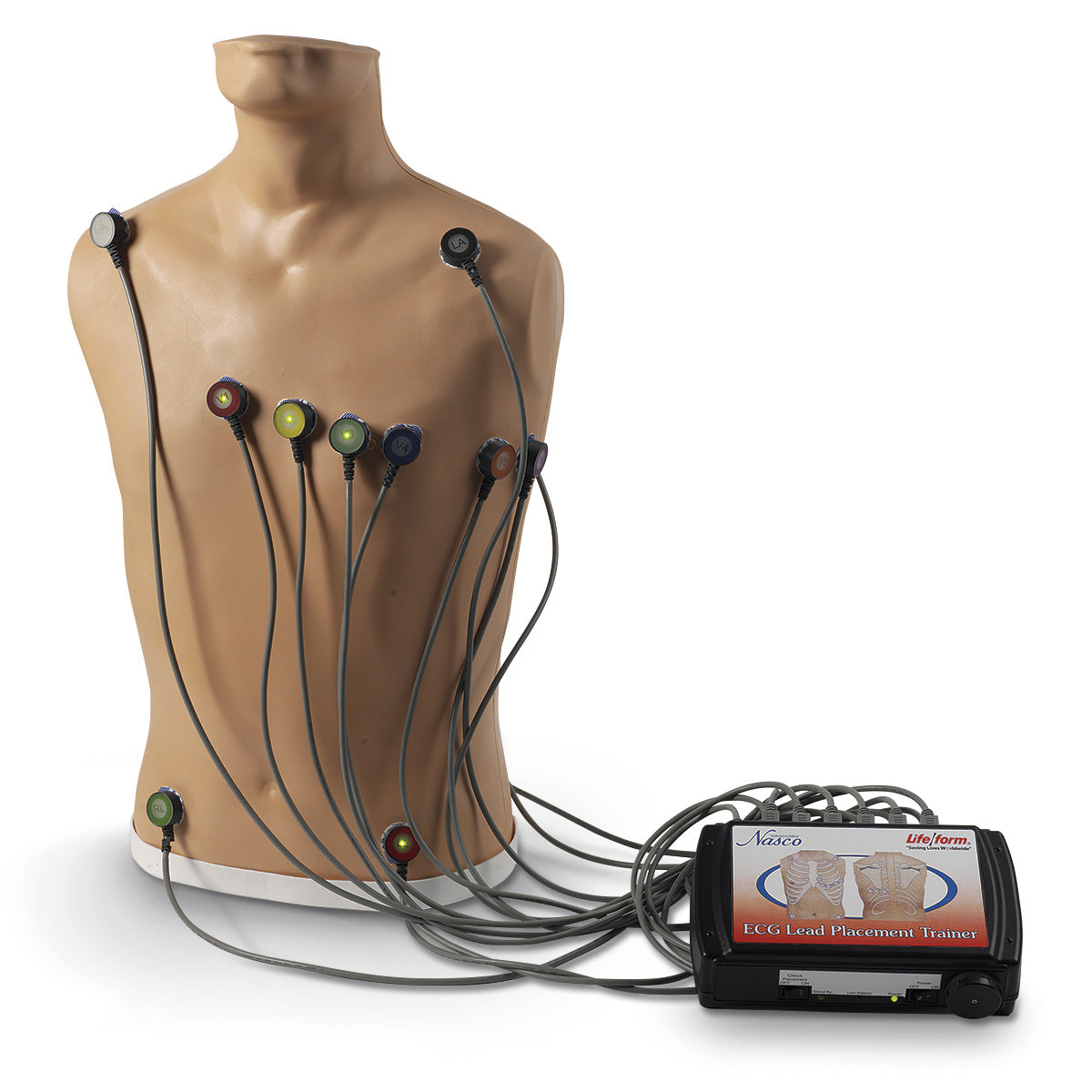 Treinador de colocação de ECG de 15 derivações Life/form® [SKU: LF01300]