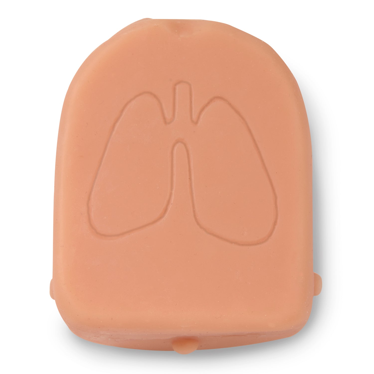 Life/form® Infant Simulator Substituição de elevação torácica bilateral