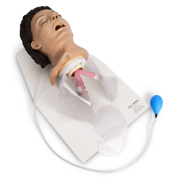 Treinador de gerenciamento de vias aéreas para adultos Life/form® com suporte [SKU: LF03601]