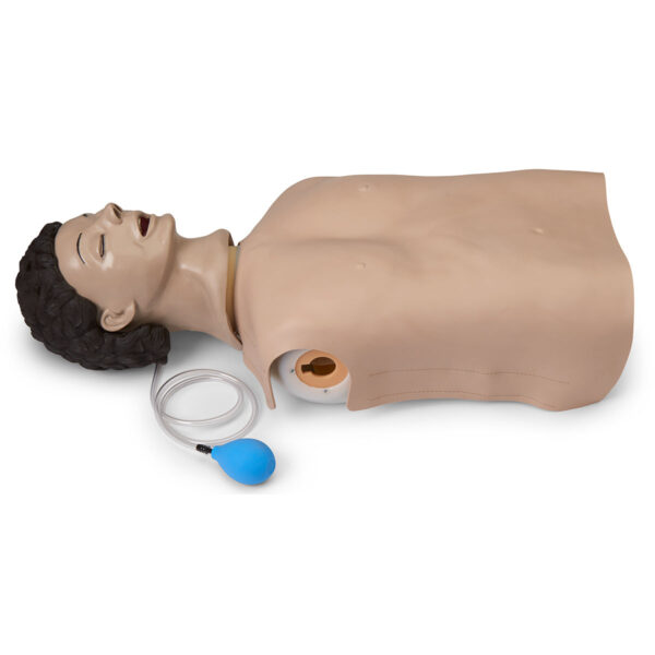 Manequim de treinamento de gerenciamento de vias aéreas para adultos Life/form® [SKU: LF03602]