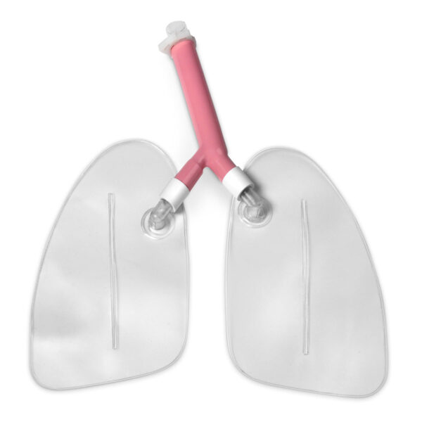 Pulmões de reposição para manequins de treinamento de gerenciamento de vias aéreas Life/form® “Airway Larry”