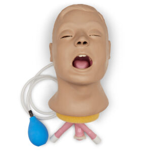 Cabeça do manequim de gerenciamento de vias aéreas adultas Life/form® “Airway Larry” [SKU: LF03667]