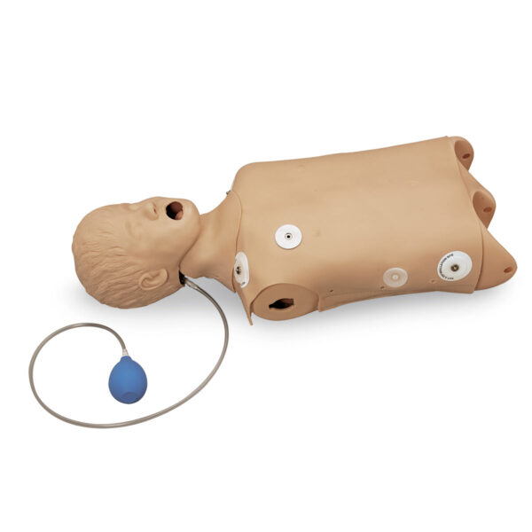 Torso inicial Life/form® Child CRiSis [SKU: LF03674]