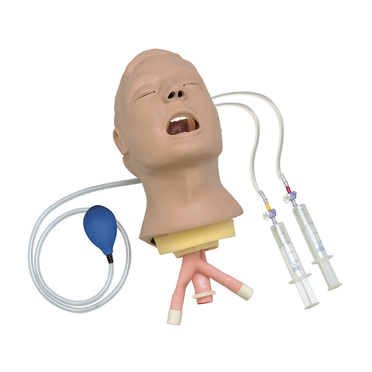 Life/form® Advanced Airway Larry Treinador de Gestão de Vias Aéreas Cabeça [SKU: LF03684]