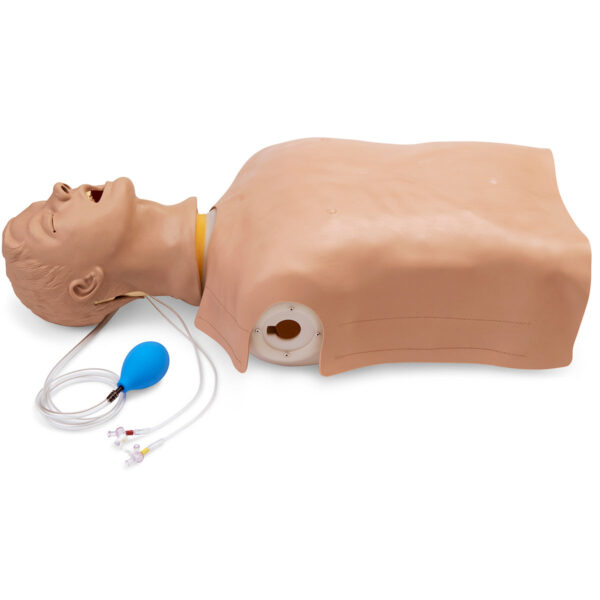 Torso do instrutor de gerenciamento de vias aéreas Life/form® Advanced “Airway Larry” [SKU: LF03686]