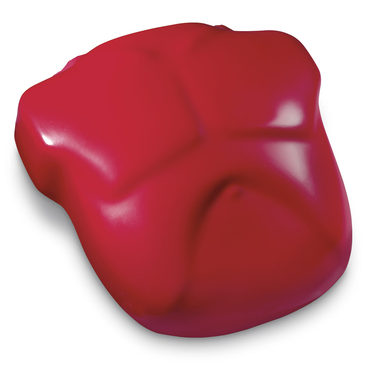 Manequim de RCP Life/form® Basic Buddy® - Peito de Substituição