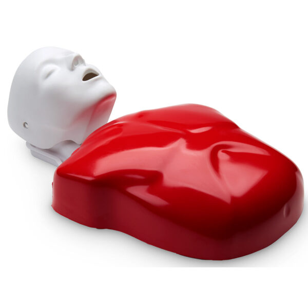 Manequim básico de RCP único Buddy® [SKU: LF03693]