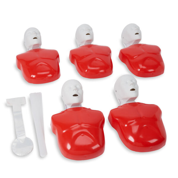 Pacote de 5 manequins de RCP Life/form® Basic Buddy® [SKU: LF03694]