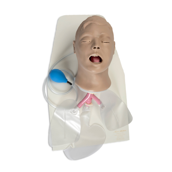 Manequim de gerenciamento de vias aéreas adulto “Airway Larry” com suporte [SKU: LF03699]