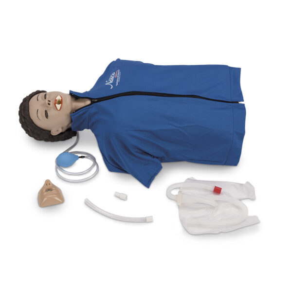 Life/form® Basic CPARLENE® Torso – Leve [SKU: LF03716]