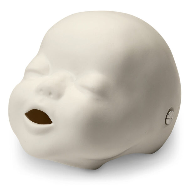 Cabeça de manequim de RCP Life/form® Baby Buddy®