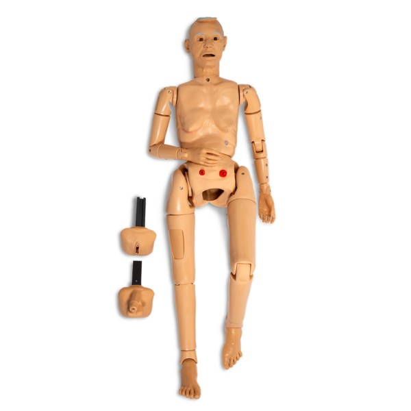 Life/form® GERi ™ Manequim de RCP  Completo de Habilidades de Enfermagem – Light [SKU: LF04001]