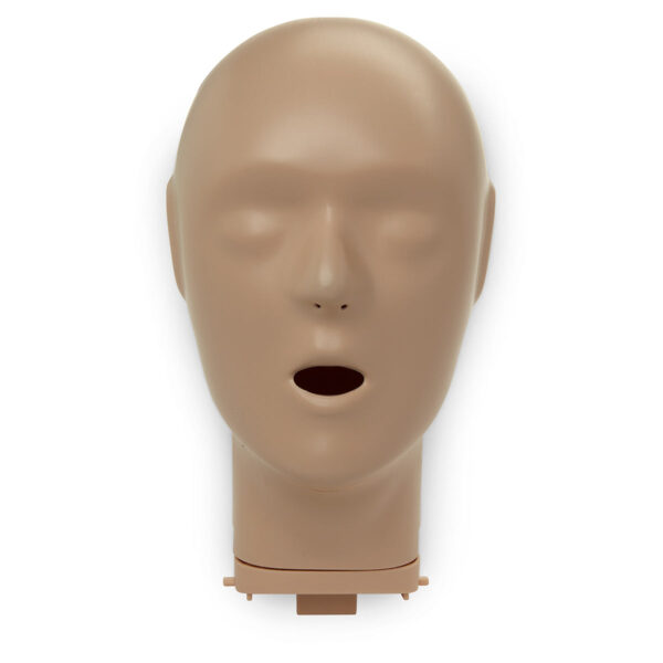 Conjunto de cabeça – Tan 3026-117