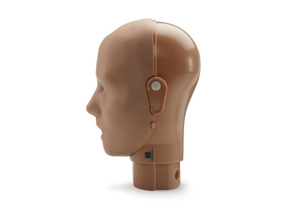 Cabeça de Manequim Profissional Adulto Prestan, (Pele Escura) [SKU: PR00097D]