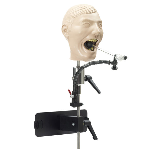 Manequim Dental de Raios-X [SKU: SB23463]